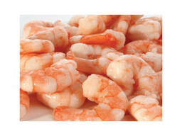 Quality Frozen Raw Shrimp for sale