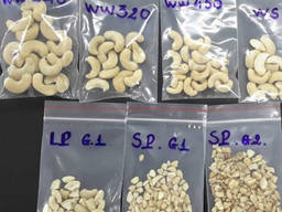 Quality raw cashew nuts from Denmark