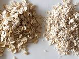Rolled oats - фото 1