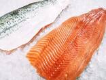 Verkoop diepgevroren Chum zalmfilet groothandel - фото 2