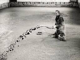 Schuimbeton Prijs & Advies – Duurzame Isolatie & Basisvloeren | Schuimbeton Plus