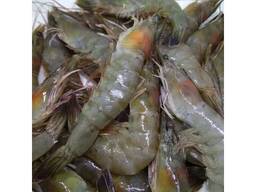 Seafood Prawns Frozen Vannamei Shrimp / frozen seafood Shrimps for sale