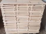 Sell boards Ash (Fraxinus) - фото 4