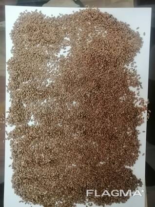 Семена льна