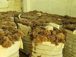 Шерсть / raw wool