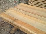 Siberian larch - photo 3