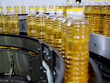 Sunflower Oil - фото 1