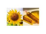 Sunflower oil - фото 1