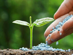 Top Grade Quality Urea Fertilizer Nitrogen 46% nitrogen Suppliers