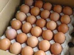 Top Quality Pure White / Brown Shell Fresh Table Chicken Eggs For Sale At Wholesale