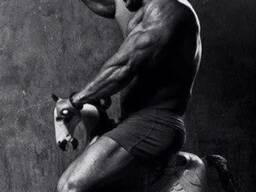 Тренировки онлайн в домашних условиях