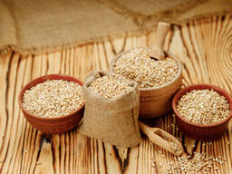 Whole Barley For Sale