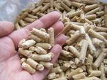 Wood Pellets - фото 1