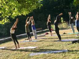 Yoga Teacher Training Course Netherlands | Indian Classical Yoga